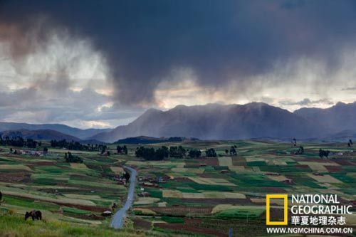 The Incas Seiko secret agents with every piece of farmland in the vast territory, in the more than 3600 meters above sea level, they planted potato tuber crops, grazing domesticated alpaca.