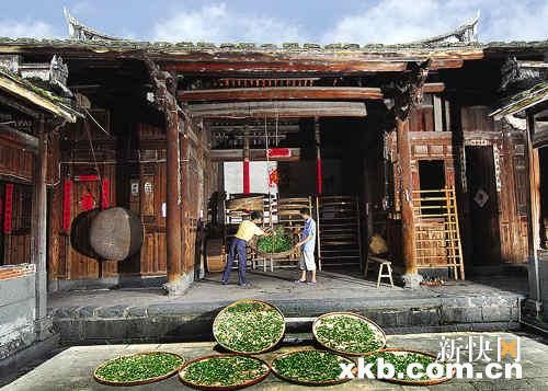 旅行体验地道茶韵 饮茶品茗玩味其中(5)