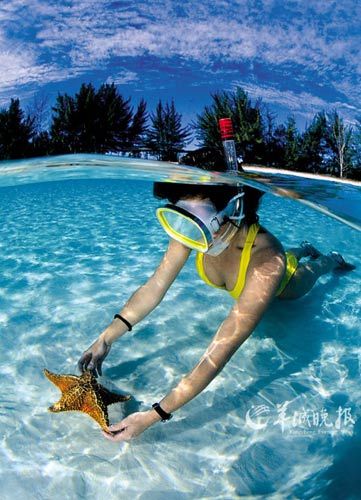 The Bahamas snorkeling