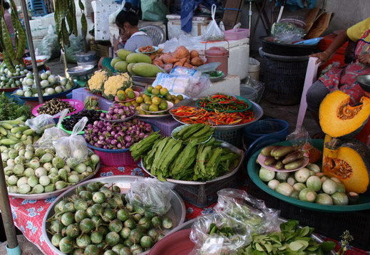 柬埔寨:水果星球漫游记(组图)