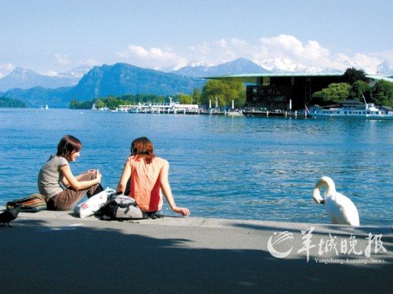Beauty and the Swan Lake Lucerne