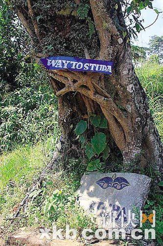 �������Ę�