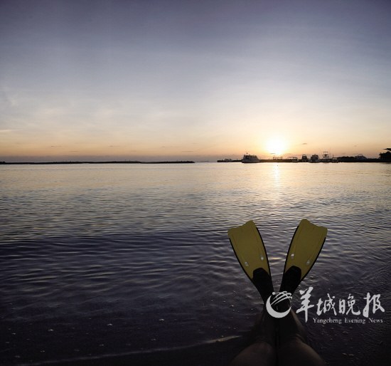 Summer snorkeling