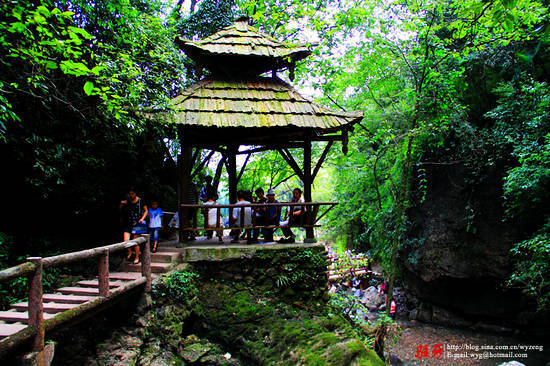 四川未开发的世界级旅游景点 61       其时青城山分前山和后山,到