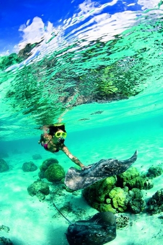 Daxi core-mantle wonderful underwater world