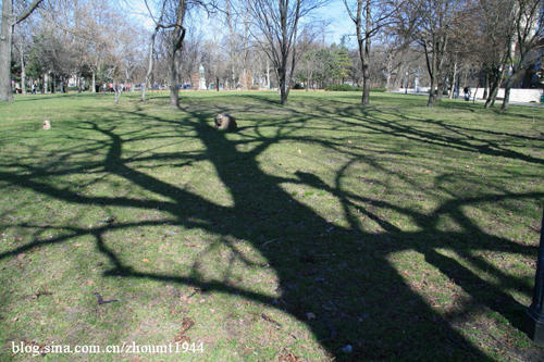 Sina travel pictures: City Park vast Photography: Zhou Mingtao