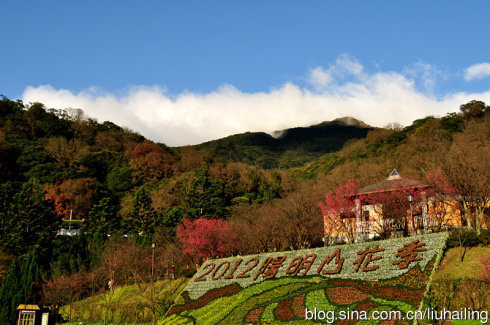 新浪旅游配图:台湾阳明山 摄影:影儿空间