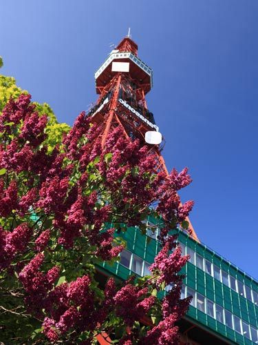 Spring in Japan