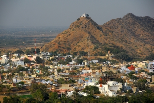 Bush's city panorama