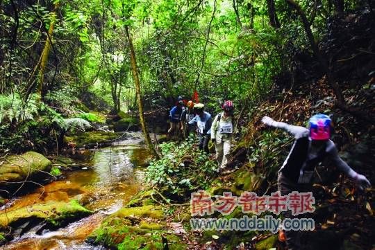 广东肇庆探秘原始森林鼎湖山2