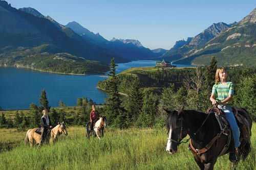 The horse experience Alberta