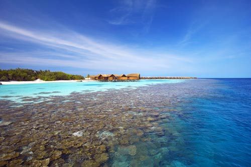 Sina travel picture: Maldives