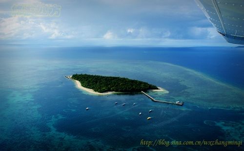 Sina travel pictures: Great Barrier Reef photograph: easy Quartet