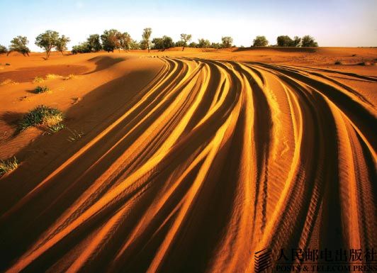 The beauty of the desert