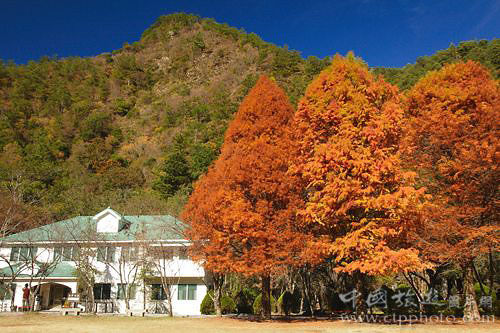 The mountain red show an invigorating autumn climate