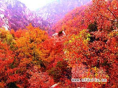 Shangfeng season hills and red