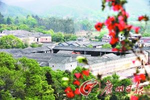 Jiangxi Longnan is autumn and autumn fruit