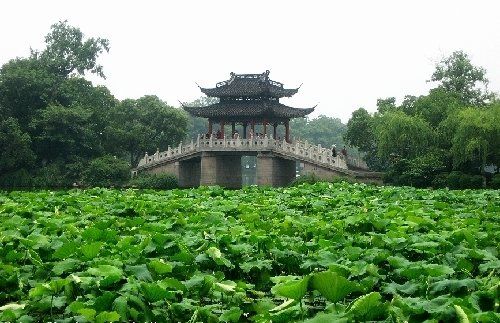 杭州西湖夏季旅游攻略(3)