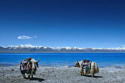 放暑假啦 盘点学生最爱十大国内旅游地_旅游新