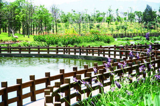 从旁的游客处得知,五缘湾湿地公园是厦门最大的公园,政府在不破坏原有