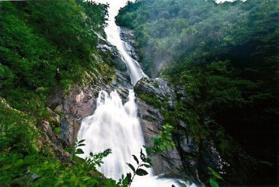 杭州临安东天目山 云山秀水(2)