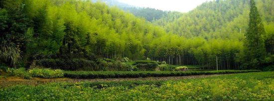 山清水秀 杭州周边登山避暑游(2)