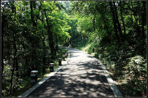 沿着山路前行 沿着山路前行