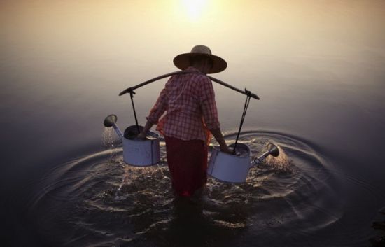 "National Geographic" 2013 Photography Awards (Photos)