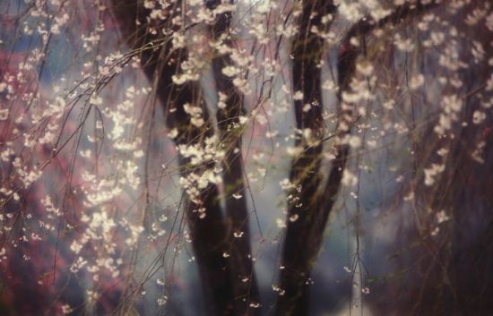 "National Geographic" 2013 Photography Awards (Photos)