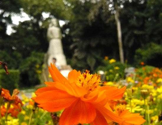 夏游柳侯公园 领略文豪的风采_新浪旅游_新浪网