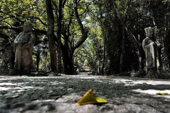 武夷山秘境 止止壶天止止庵