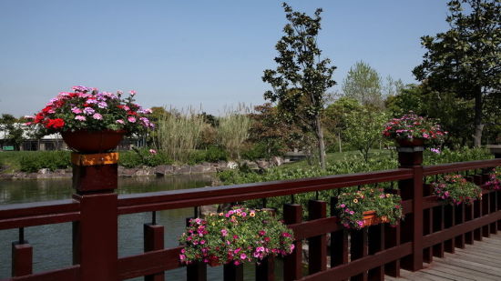 盘点沪上中秋精彩活动:上海植物园和桂林公园