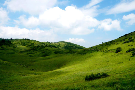 紫柏山让你叫绝旅游亮点