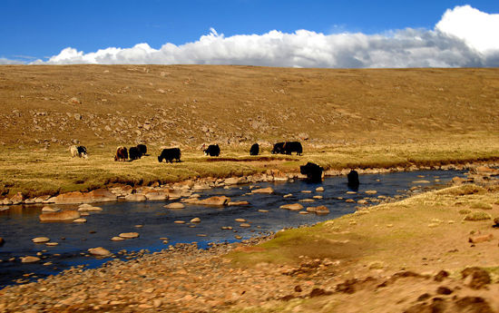 组图:预防高原反应 国庆西藏旅游小贴士(3)