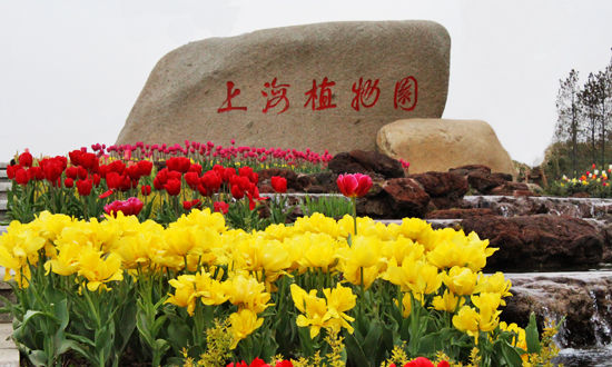上海植物园美丽的秋色 演绎更具内涵的花卉文化