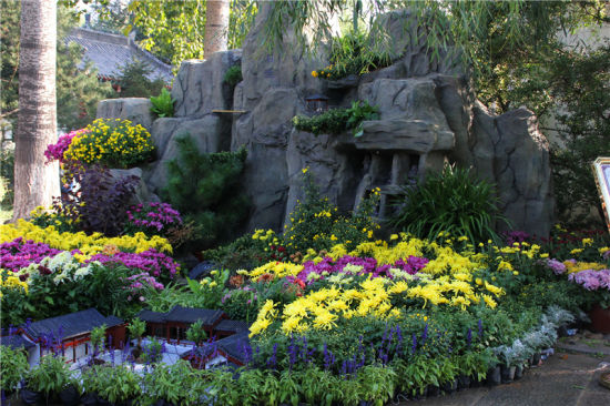 新浪山东美食休闲之旅济南站 体验泉城魅力