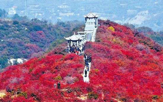 做郑武高铁 领略古城味道_新浪旅游_新浪网