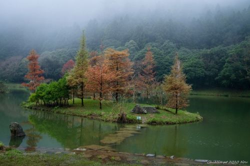 秋天赏枫之际 台湾最佳赏枫景点 新浪旅游 新浪网