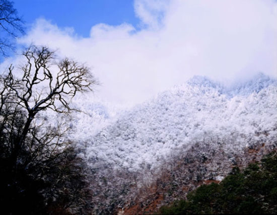 十一月观叶爬山好去处 旅游明珠雅安庐山