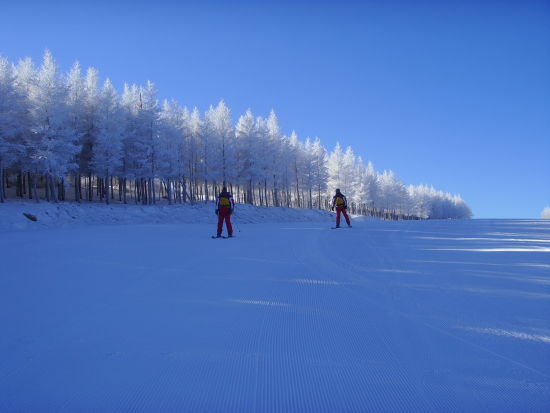 亚洲 中国 河北 石家庄 平山东方巨龟苑 正文   据了解,"滑雪·戏雪"