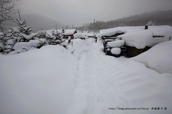 雪乡雪谷