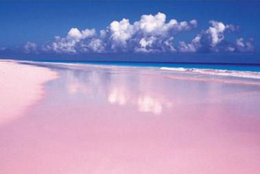 美丽岛国巴马哈 娟秀绮丽的粉红沙滩