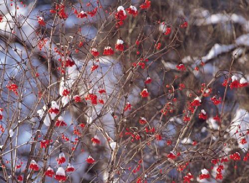 吉林冰雪世界 参与雪花的快乐