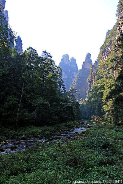 美丽湖南 风光旖旎张家界森林公园