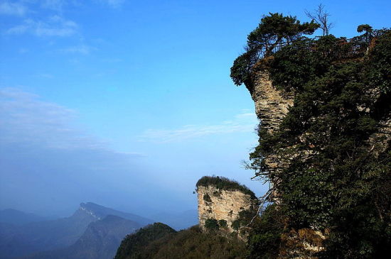 米仓山森林公园 川北独有生态风光