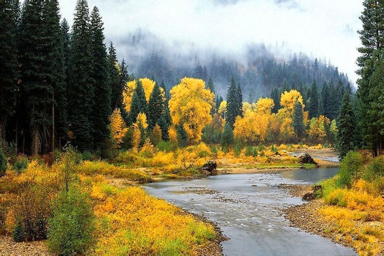 南伊沟 不只有视觉享受更是心灵的荡涤_新浪旅游_新浪网