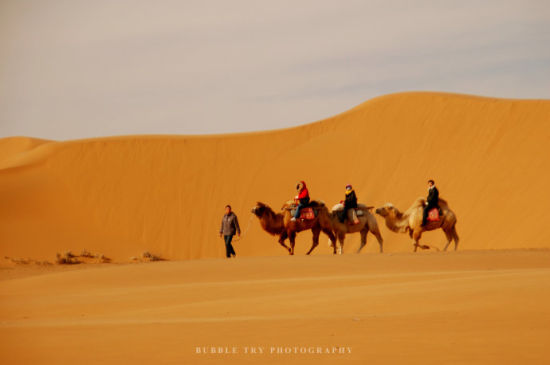 大西北的风光最雄奇冬季畅游宁夏沙坡头