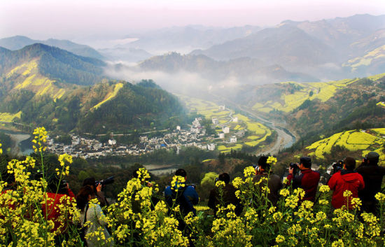 醉心花海盛宴 2014歙县赏花攻略(组图)