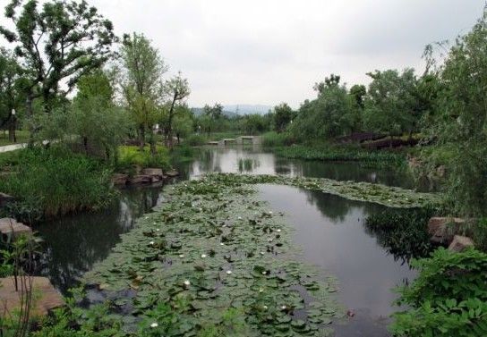 管社山湿地公园 闲游绝佳地