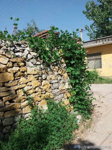 寻访山东古村落 济宁龙湾套